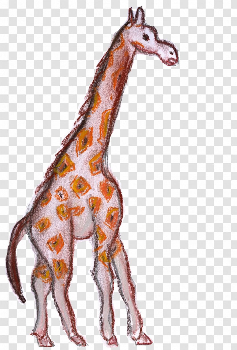 Giraffe Horse Neck Terrestrial Animal - Mammal Transparent PNG