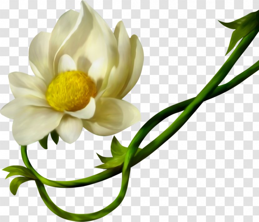 Petal Yellow Cut Flowers White - Data Compression - Flower Transparent PNG