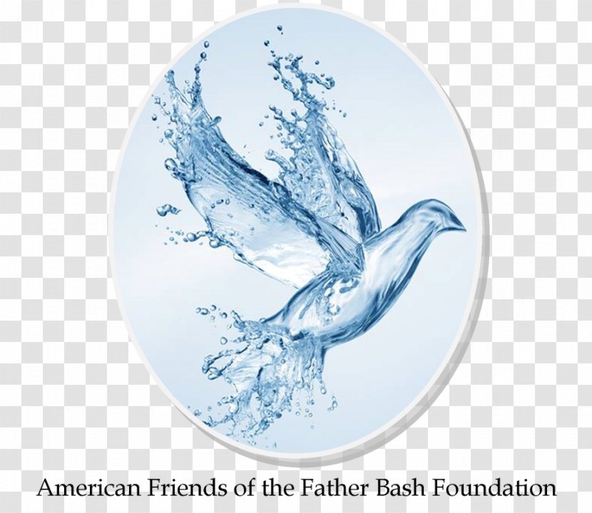 Baptism Christianity Christian Church Holy Spirit Baptists - Water Saving Child Transparent PNG