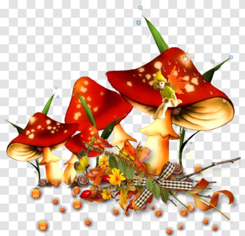 Mushroom Art Clip Transparent PNG