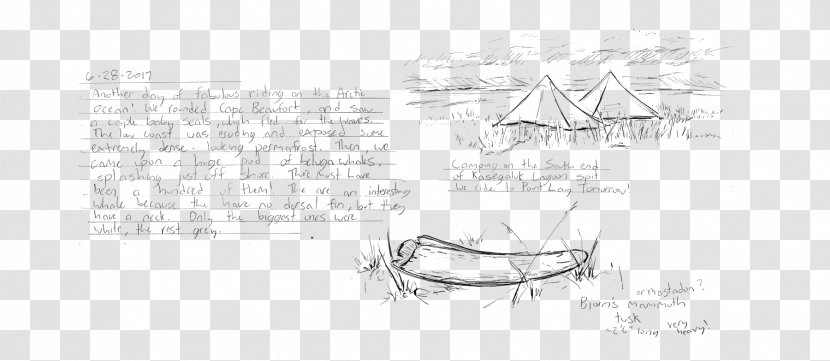 Paper Sketch Design Font Art - Arctic Aurora Borialis Transparent PNG