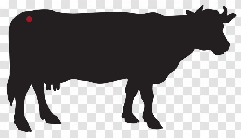 Jersey Cattle Holstein Friesian Dairy Farming Ox - Farm - Chateaubriand Transparent PNG