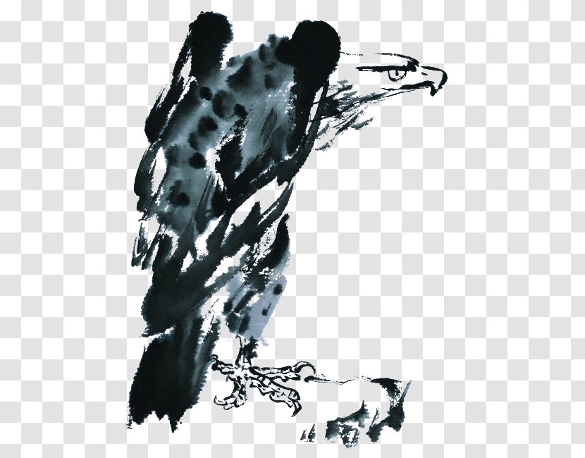 Visual Arts Black And White Ink Wash Painting Illustration - Drawing - Eagle Transparent PNG