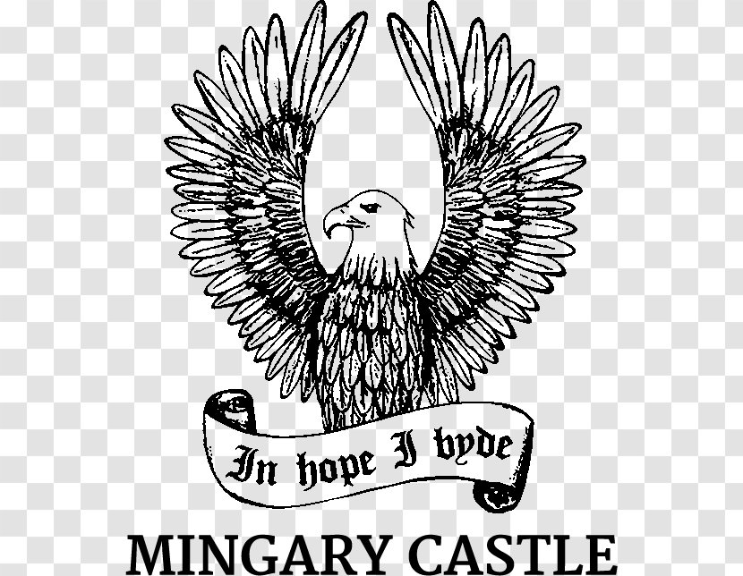 Mingary Castle Ardnamurchan Drawing Eagle - Line Art Transparent PNG