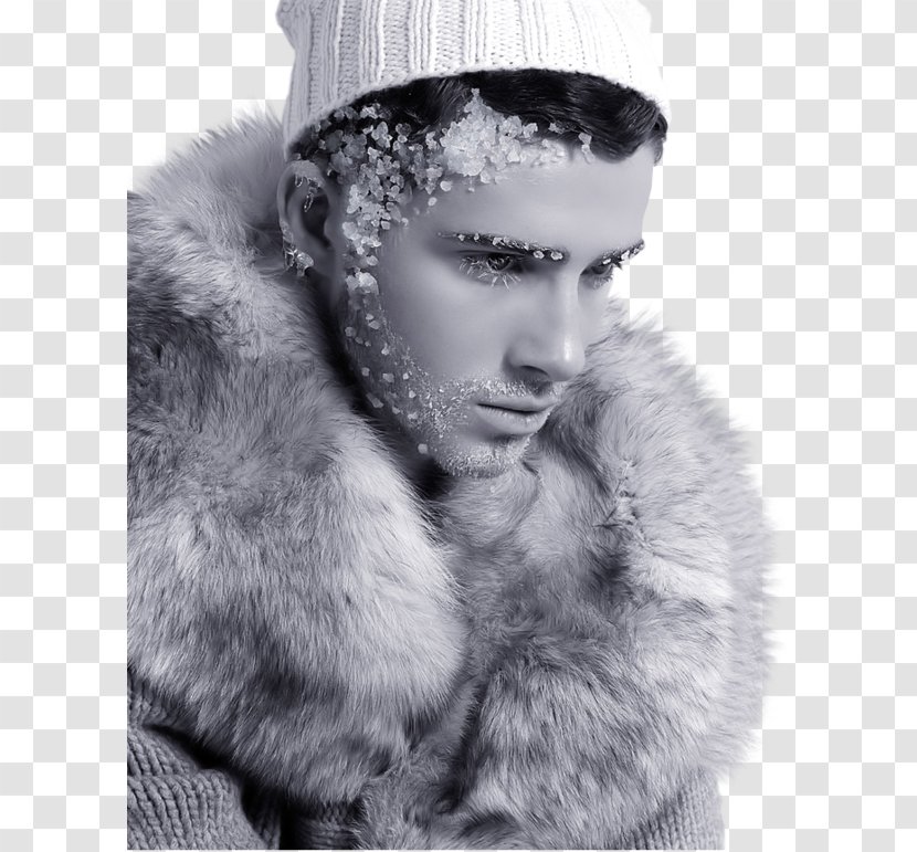 Fashion Model Photography Male Ice King - Photographer - Bay Transparent PNG
