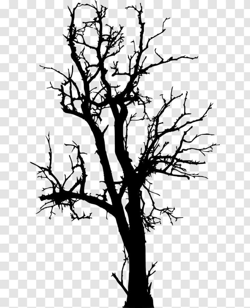 Twig Tree Silhouette - Flora Transparent PNG