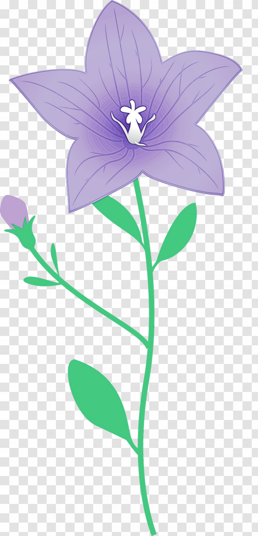 Lavender Transparent PNG