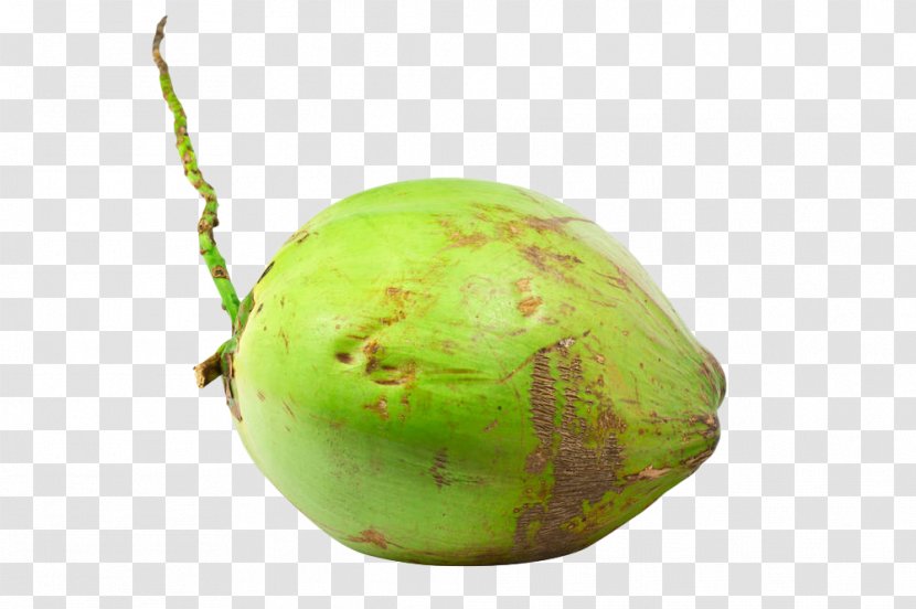 Fruit Coconut Water Milk Nata De Coco - Tree - Fresh Green Transparent PNG