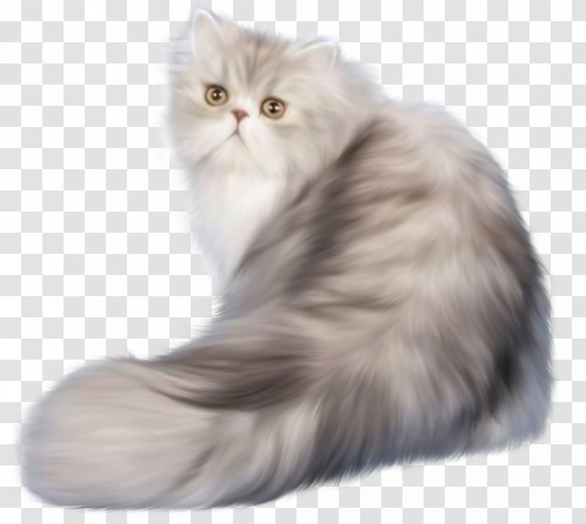 Cat Kitten Animation - Small To Medium Sized Cats - Ferret Transparent PNG