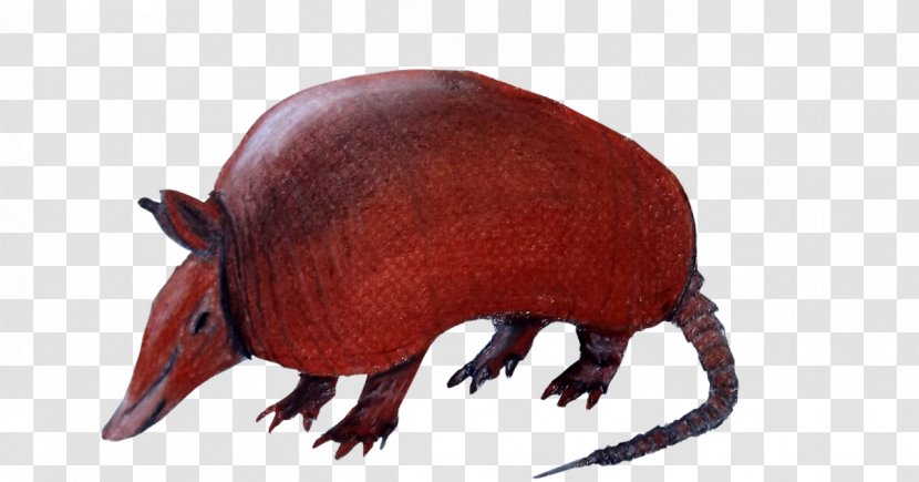 Armadillo Drawing Silhouette - Line Art - Cola Transparent PNG