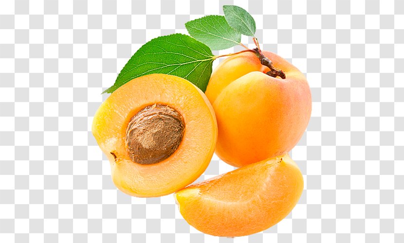 Vitamin Pangamic Acid Food Mineral Dietary Fiber - Energy - Apricot Transparent PNG