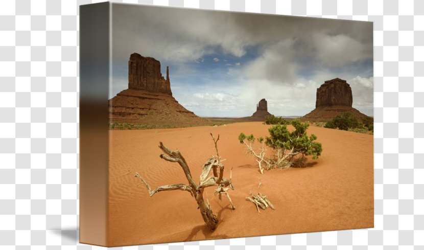 Camel Stock Photography - Monument Valley Transparent PNG