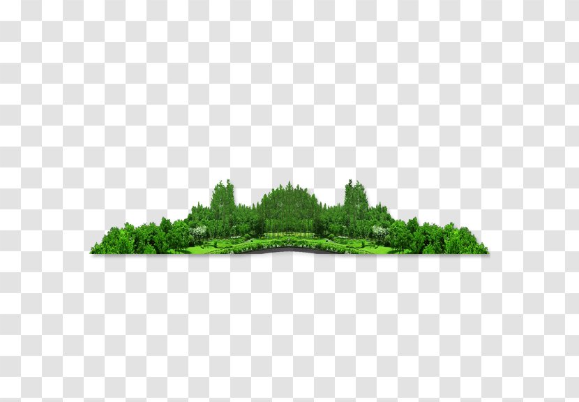 Download Forest Icon - Green Transparent PNG