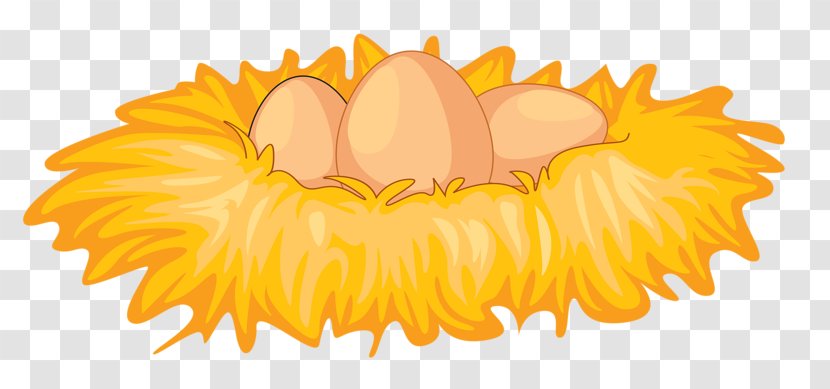 Egg Royalty-free - Wood - Nest Transparent PNG