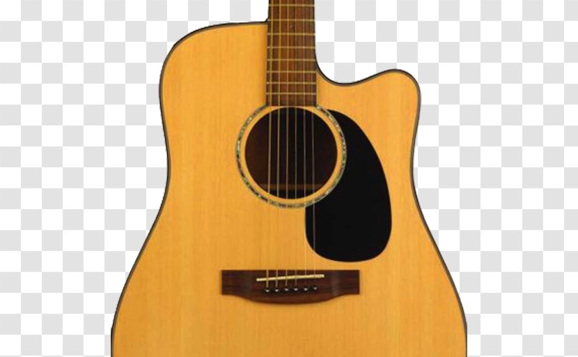 Taylor Guitars Acoustic-electric Guitar Takamine Dreadnought Acoustic - Cartoon - Solitaire Bird In Rodrigues Transparent PNG