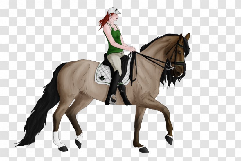 Stallion Dressage Rein Mustang Mare - Animal Sports - Equestrian Sport Transparent PNG