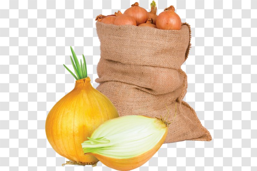 Calabaza Shallot Vegetable Food Vegetarian Cuisine - Ingredient - Onion Transparent PNG
