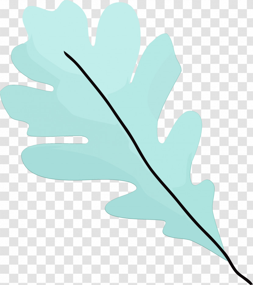 Leaf Green Turquoise Plant Tree Transparent PNG