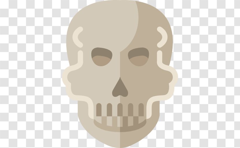 Skull - Bone - Head Transparent PNG