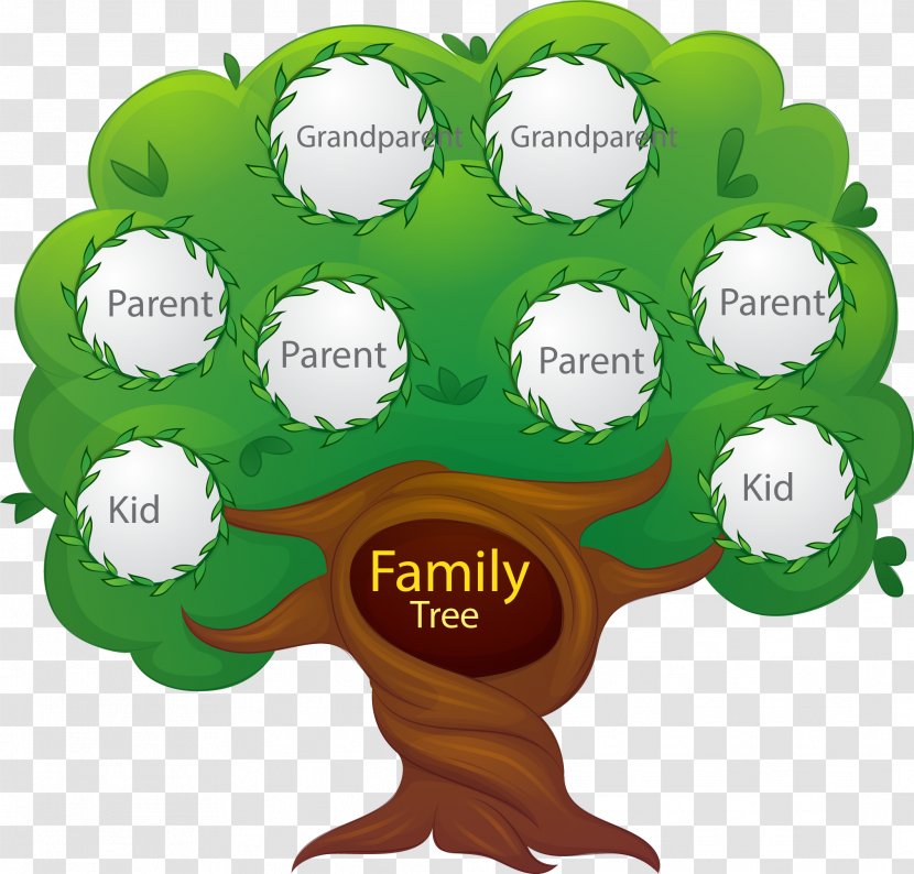 Family Tree Euclidean Vector Generation - Green - Hand Painted Transparent PNG
