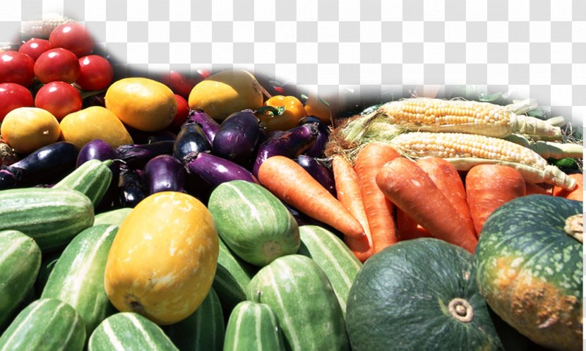 Okino Shokuryohinten Food Organic Farming Pesticide Residue Fertilizer - Fruit - Fruits And Vegetables Transparent PNG