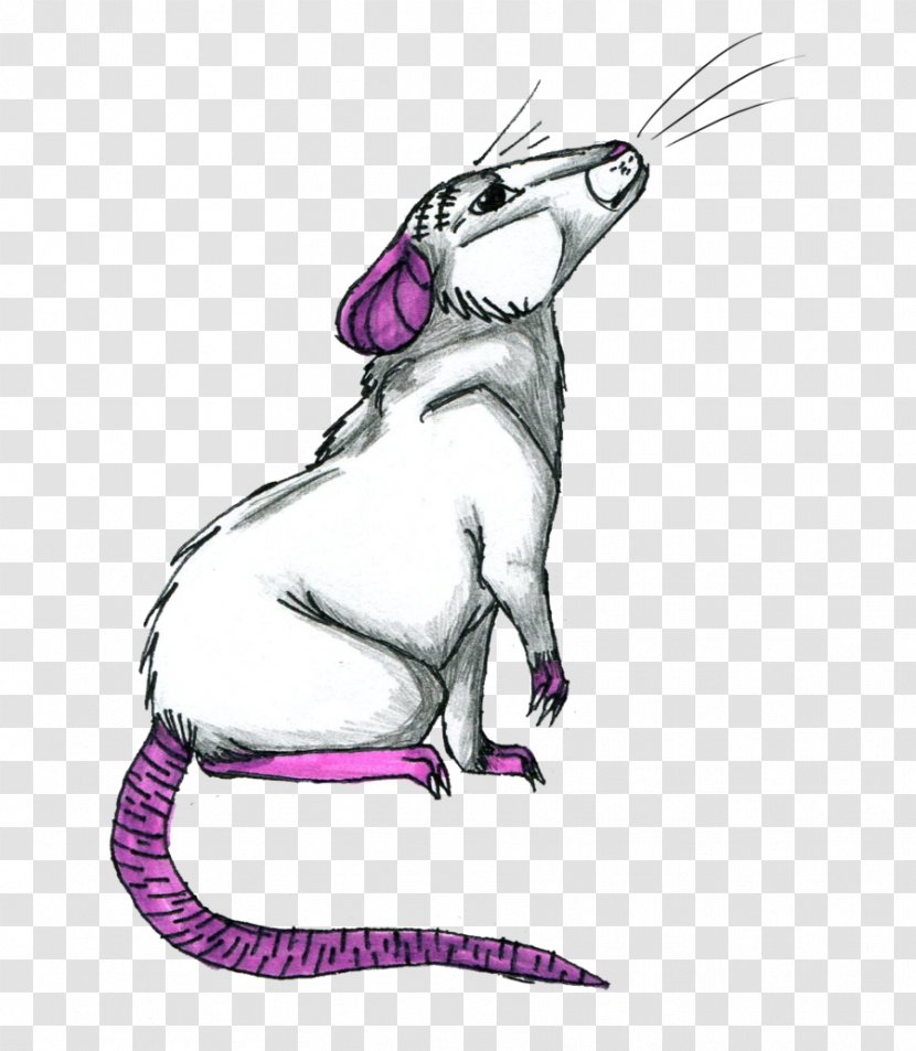 Whiskers Mouse Cat Clip Art - Joint Transparent PNG