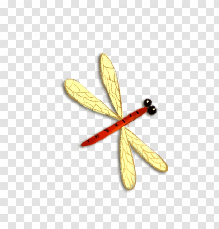 Cartoon Download - Yellow - Dragonfly Transparent PNG