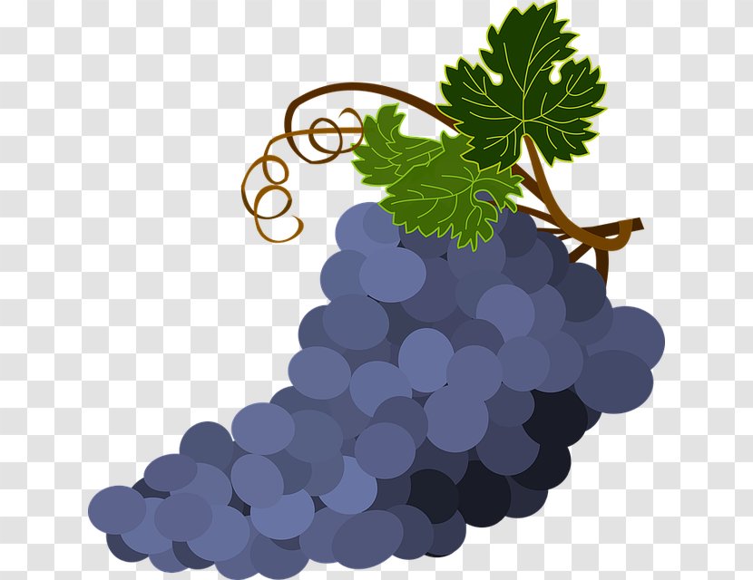 Common Grape Vine Clip Art Wine Leaves - Plant Transparent PNG