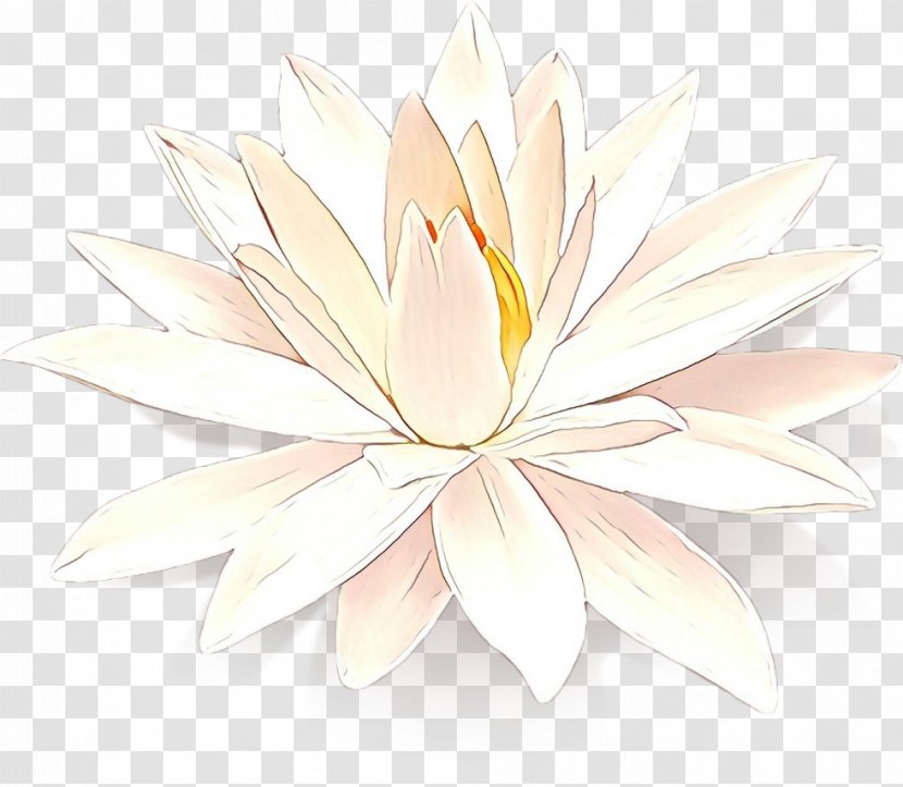 Lotus - Cartoon - Water Lily Transparent PNG