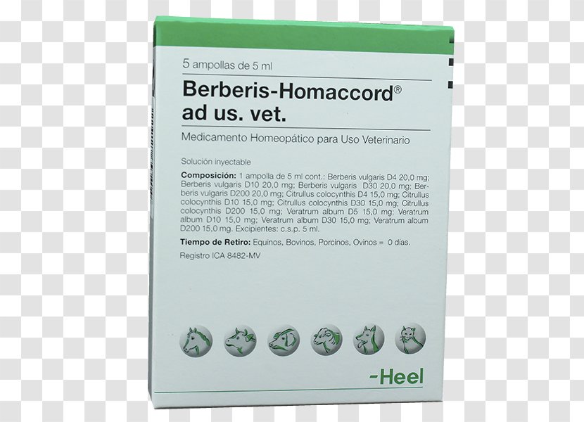 Stimulation Disease Homeopathy Pharmaceutical Drug Heel - Barberry Transparent PNG