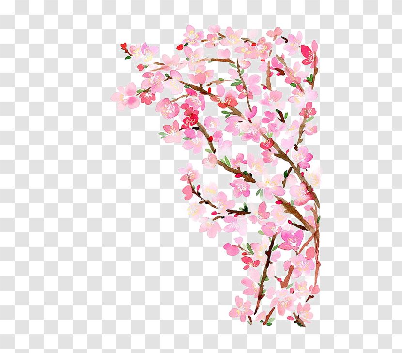 Paper Cherry Blossom Watercolor Painting - Peach - Tree Transparent PNG