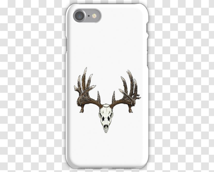 White-tailed Deer Elk Mule Skull - Hunting Transparent PNG