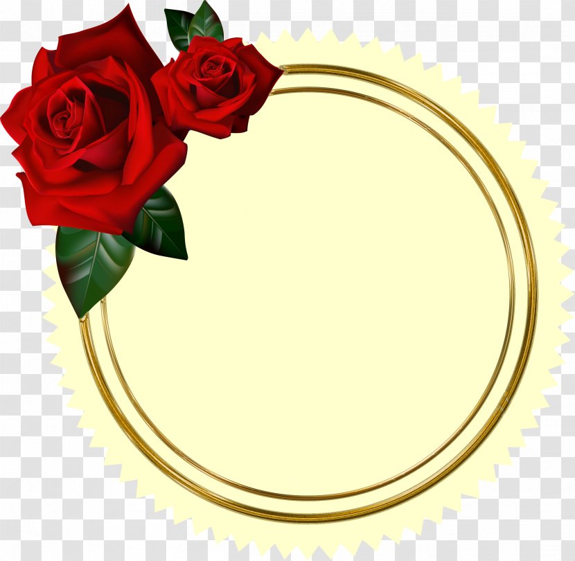 Rose Valentine's Day Photography - Png Transparent PNG