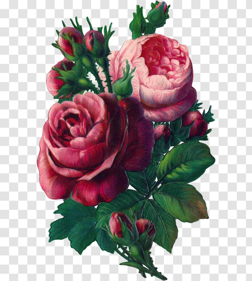 Rose Flower Bouquet Red Clip Art - Wreath Transparent PNG
