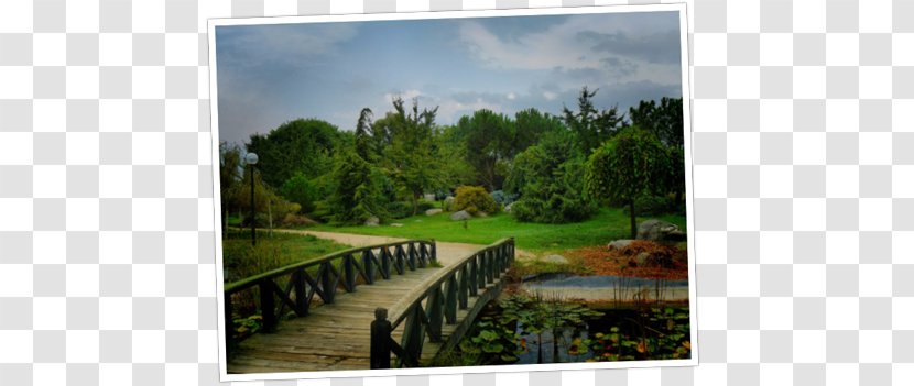 Istanbul Bursa Botanical Park Yalova Botanic Parking Lot İzmir - Travel - Vip Rent A Car Transparent PNG