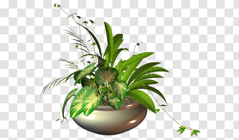 Floral Design CKFS Flowerpot - Flowering Plant - Arbuste Sign Transparent PNG