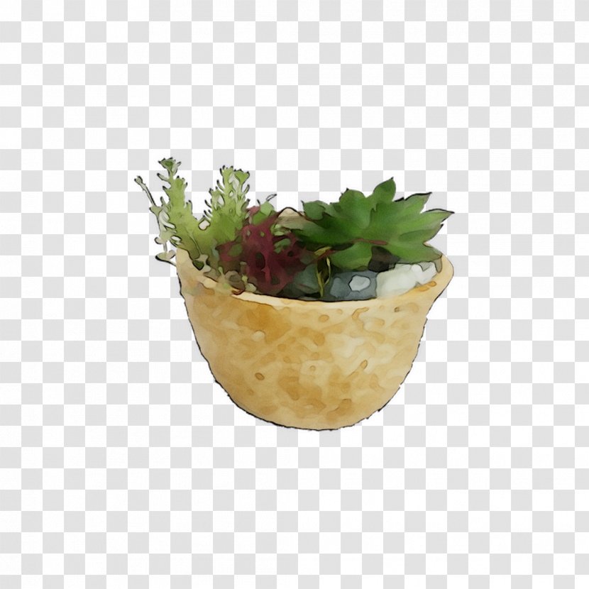 Herb - Plant - Anthurium Transparent PNG