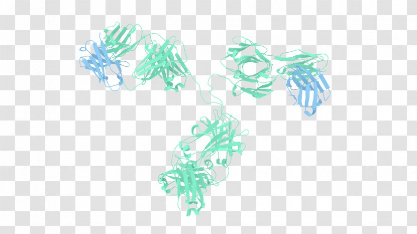 Antibody-drug Conjugate Structure Ribbon Diagram Single-domain Antibody - Fragment Antigenbinding - Teal Transparent PNG