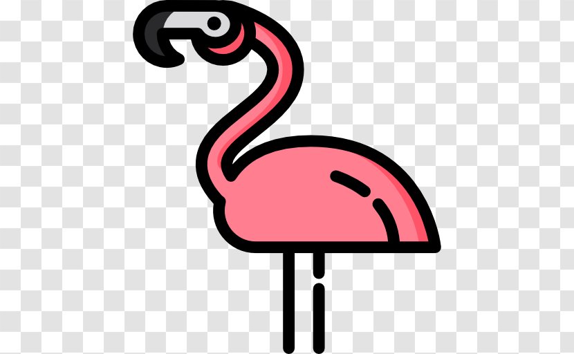 Flamingo Vector - Water Bird - Pink Transparent PNG