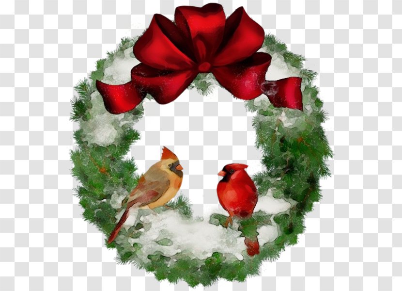Red Christmas Ornament - Wet Ink - European Robin Conifer Transparent PNG