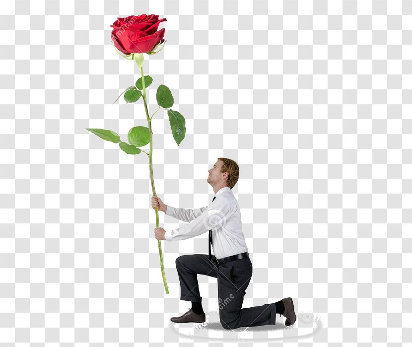 Stock Photography Kneeling - Royalty Payment - Flowering Plant Transparent PNG