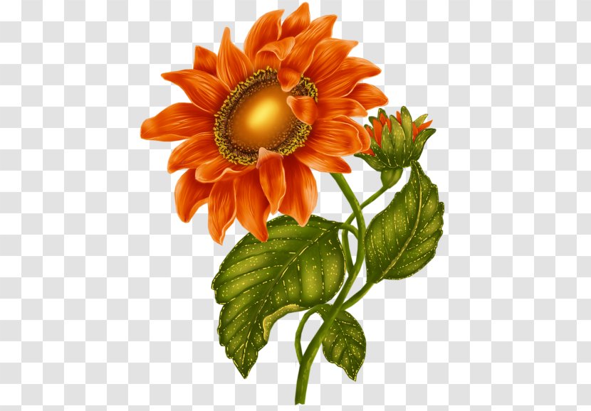 Common Sunflower Clip Art - Idea Transparent PNG