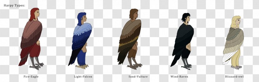 Harpy Eagle Drawing Art - Standing - Hair Vulture Transparent PNG