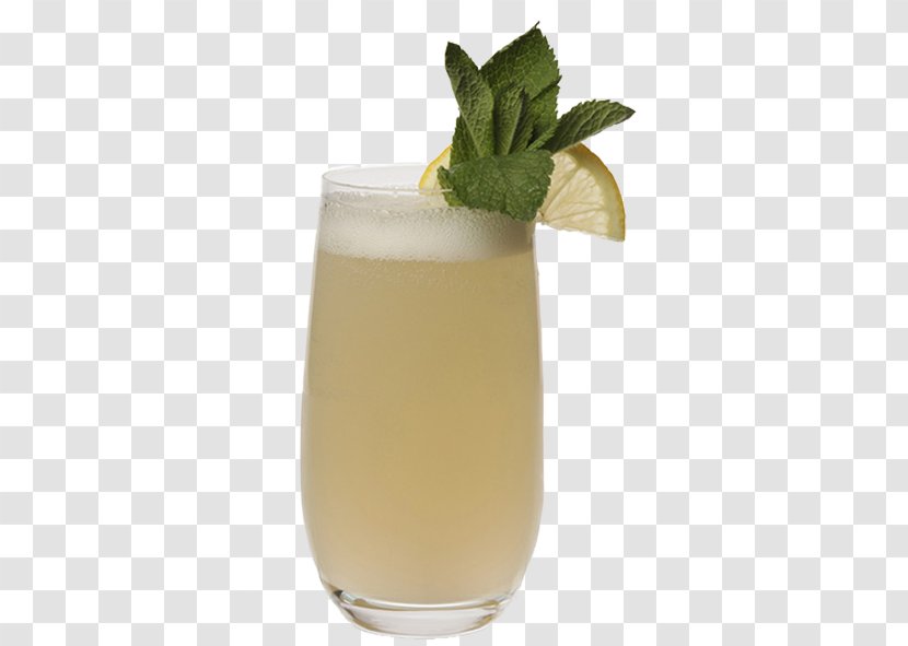 Mai Tai Cocktail Garnish Gin Fizz Elderflower Cordial - Basil Smash Transparent PNG