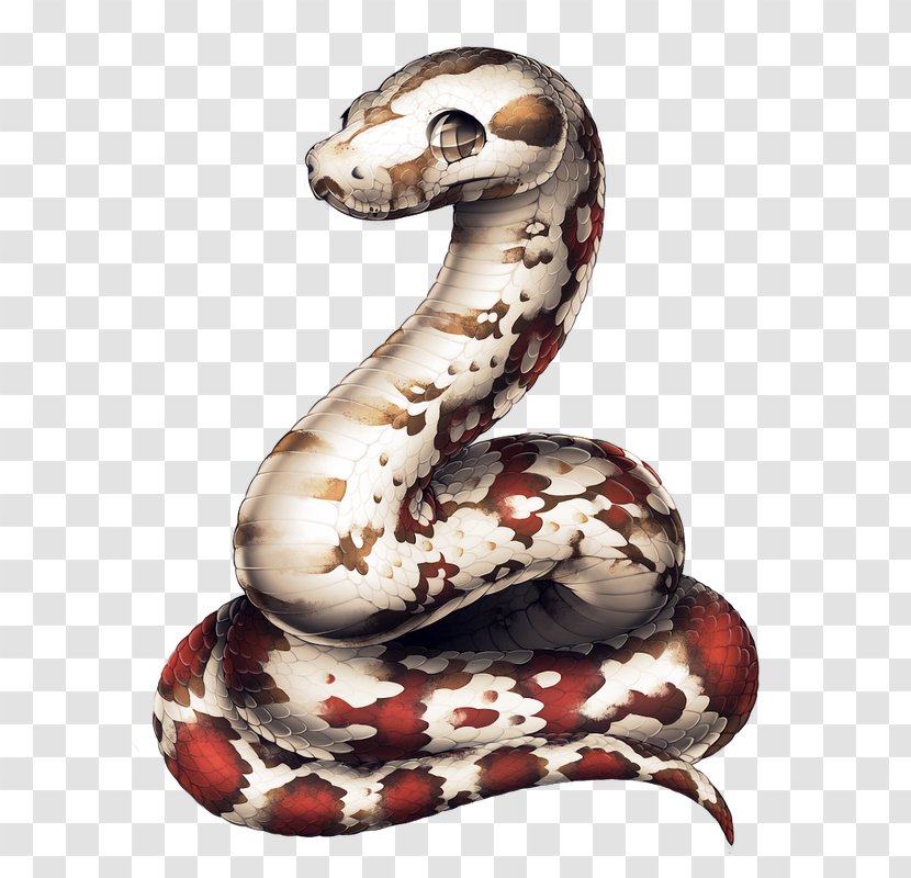 Boa Constrictor Dog Type Animaatio Gangnam Style Transparent PNG