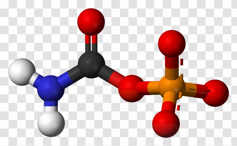 Carbonic Acid Urea Carboxylic Carbamic - Carbon Dioxide - Biochemical Transparent PNG