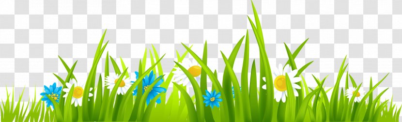 Clip Art - Meadow - Grass Transparent PNG