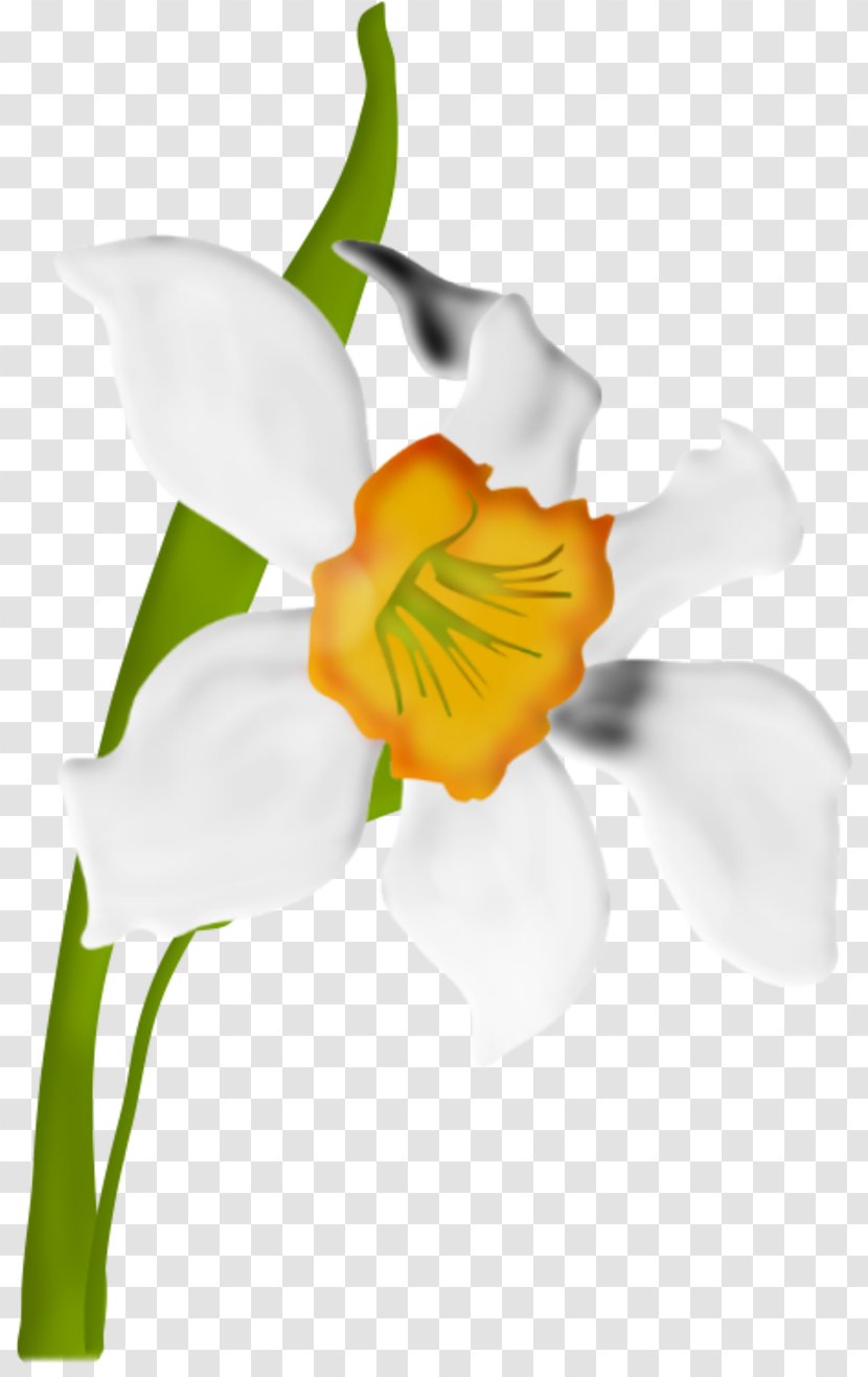 Cut Flowers Clip Art - Ulead Systems - Blumen Transparent PNG