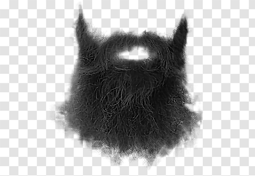 Beard Whiskers Moustache Goatee Transparent PNG