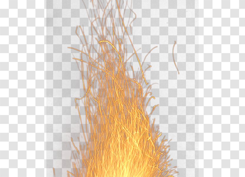 Wood Download - Orange - Flame Transparent PNG